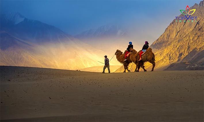 Nubra-Valley-TOP-VIET-TRAVEL