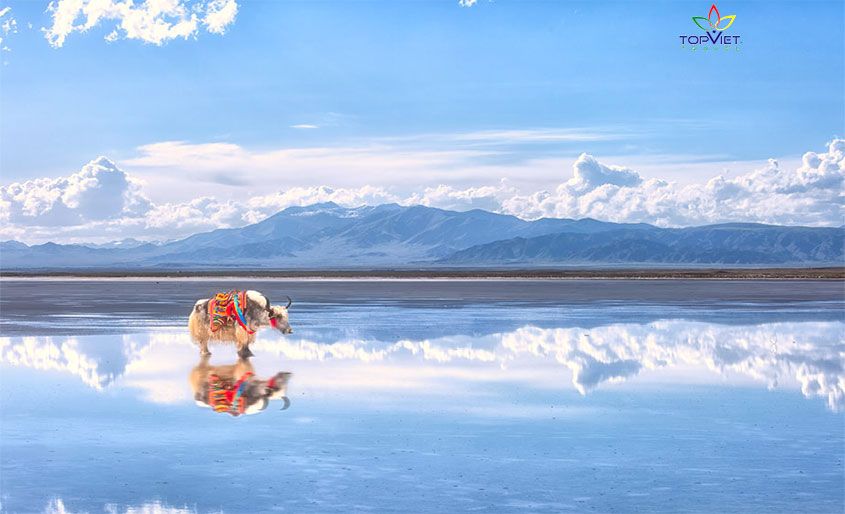 ho-thanh-hai-trung-quoc-top-viet-travel