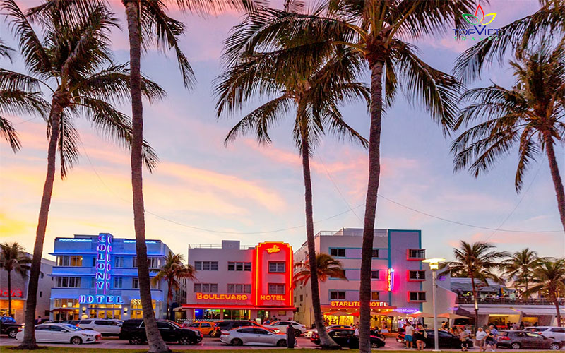 miami-by-night-florida-top-viet-travel