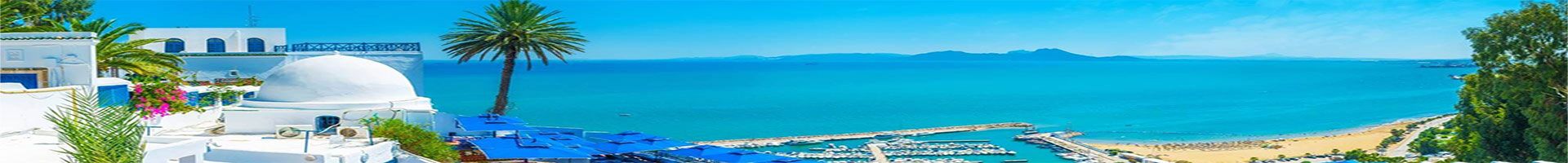 Top Viet Travel