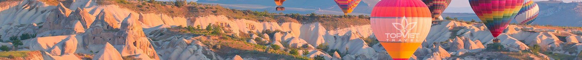 Top Viet Travel
