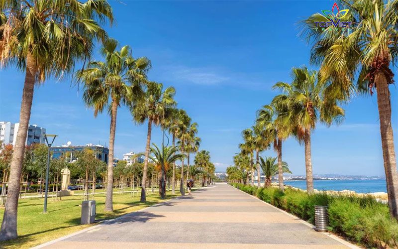Limassol-sip-top-viet-travel