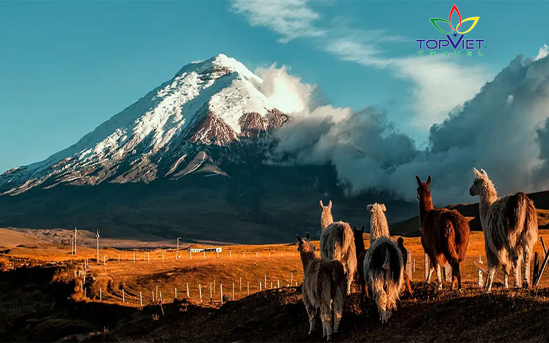 Cotopaxi-ecuador-nam-my-top-viet-travel