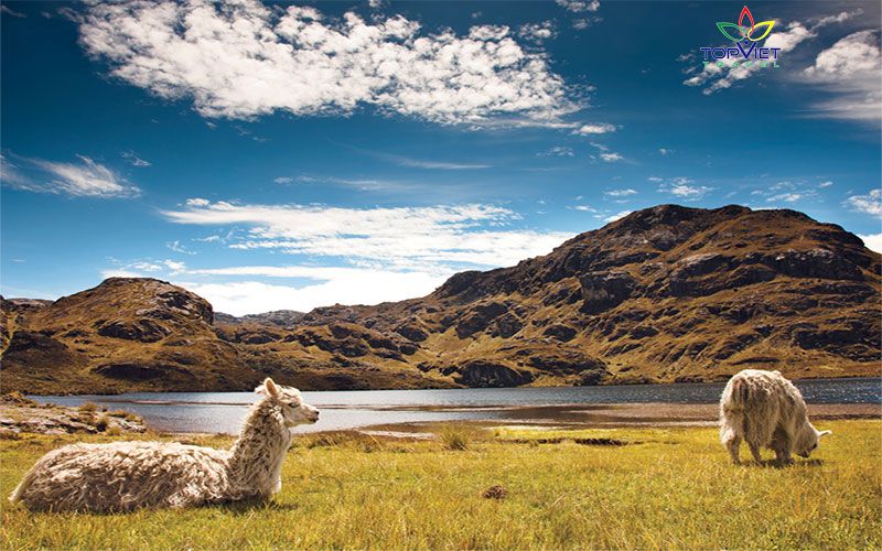 El-Cajas-ecuador-nam-my-top-viet-travel